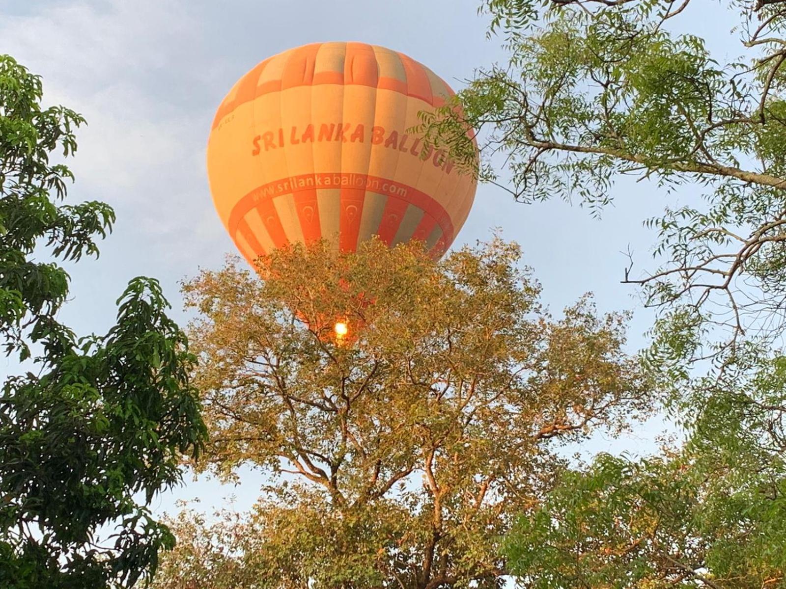 Hotel Eden Grand Dambulla Exterior foto